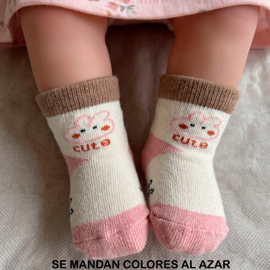 CD1003 EDICION 11926